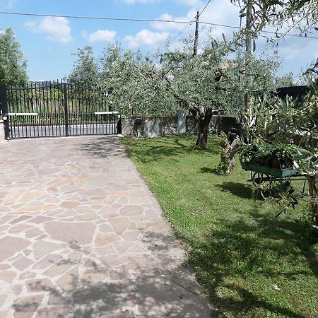 B&B Villino Lory Маріно Екстер'єр фото