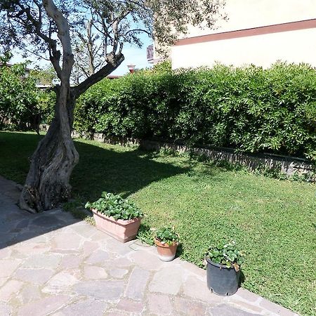 B&B Villino Lory Маріно Екстер'єр фото
